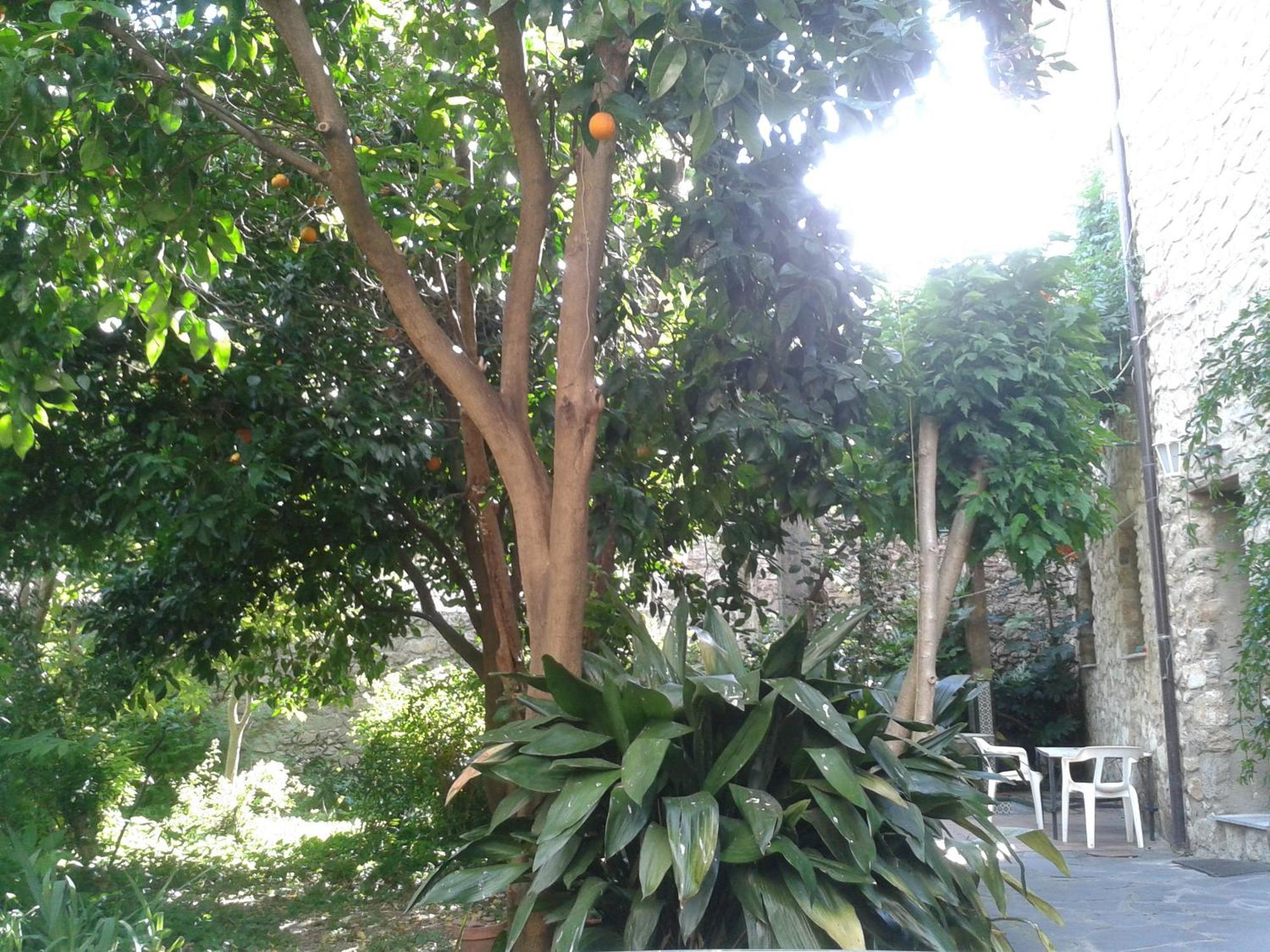 Casa Rural Corvina Acebo Exterior photo