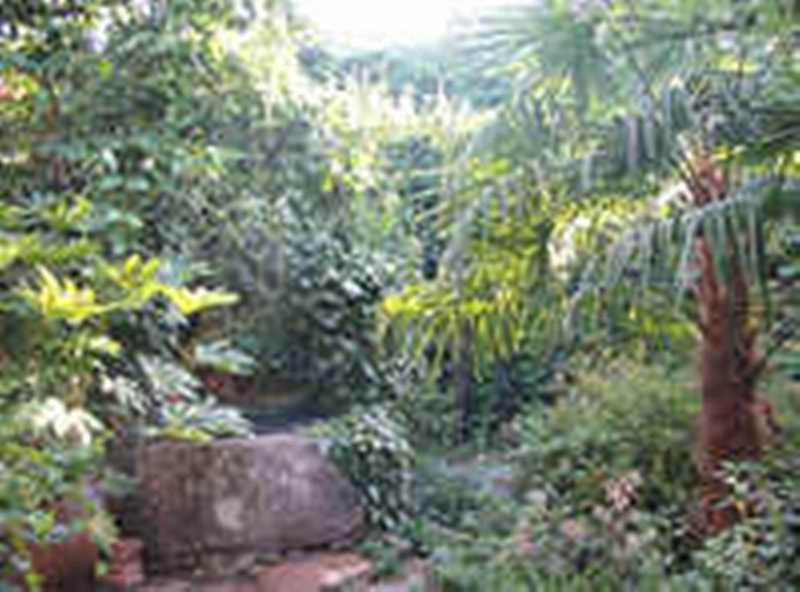 Casa Rural Corvina Acebo Exterior photo